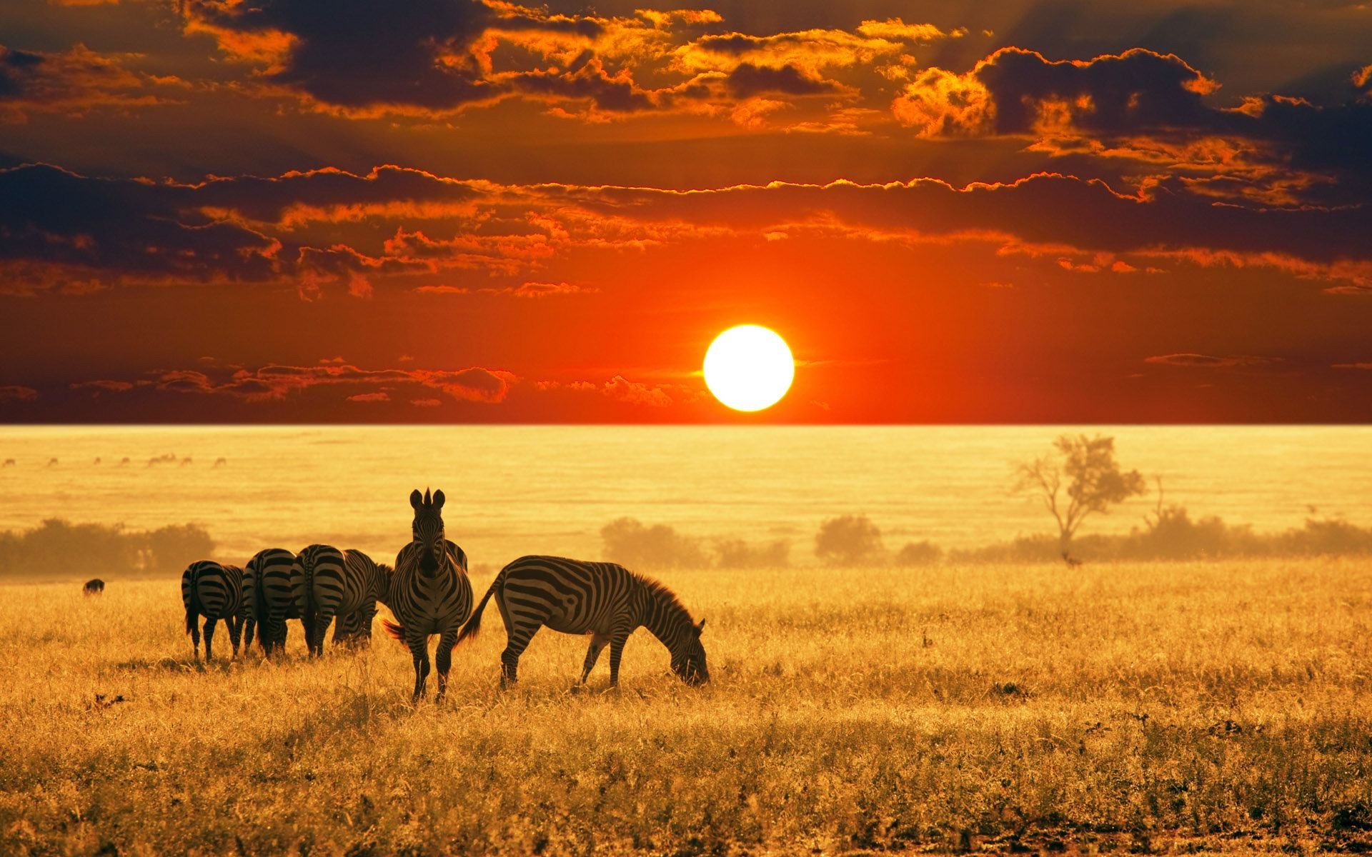 tramonto africano