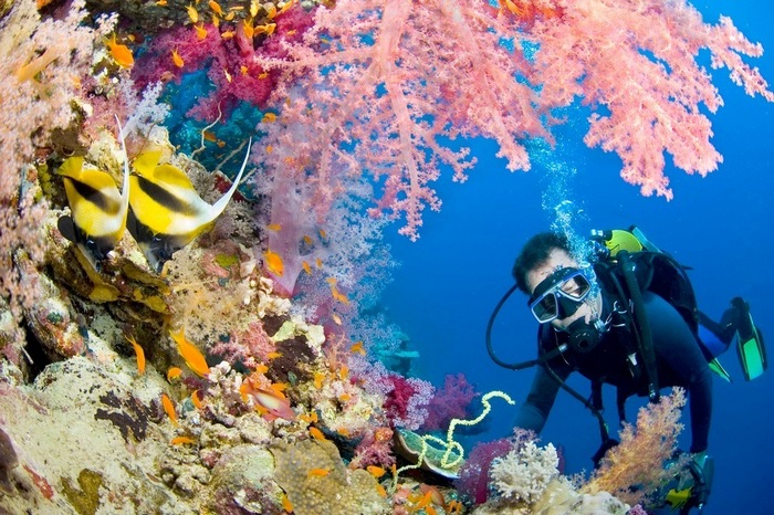 Snorkeling a Marsa Alam